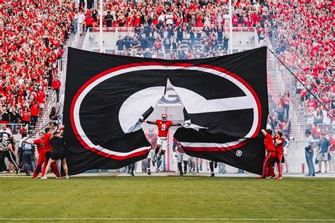 georgia 247|georgia bulldogs latest football news.